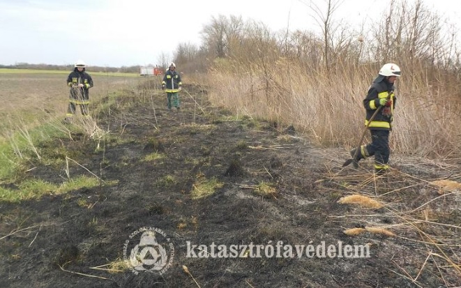 Gabonatüzekhez, balesetekhez, égő házakhoz vonultak múlt héten a megye tűzoltói