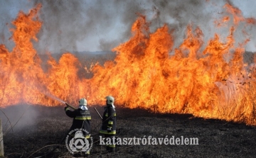 Tájékozódjon a szabadtéri égetés helyi szabályairól!