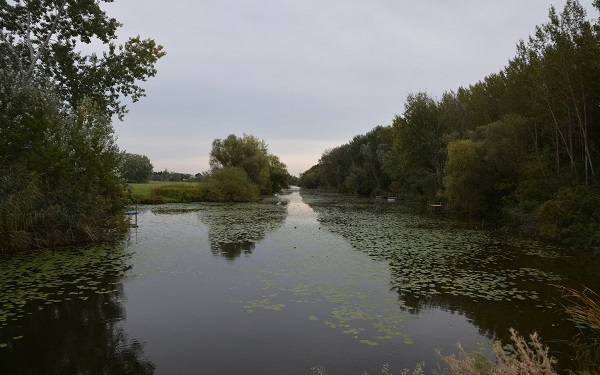 Legfőbb cél a tájba vizet juttatni