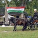 Árpási Fogathajtó Verseny