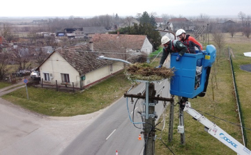 Szanyba érkezett meg a megye első gólyája