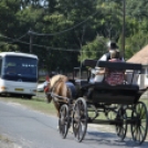 XIV. Országos Sajtverseny, Sajtünnep és Sajtvásár /délelőtt/