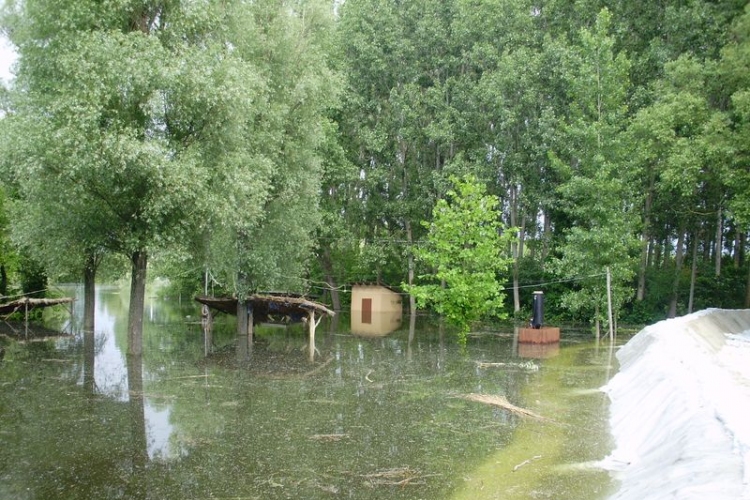 Mecséren dolgoztunk ma a gáton