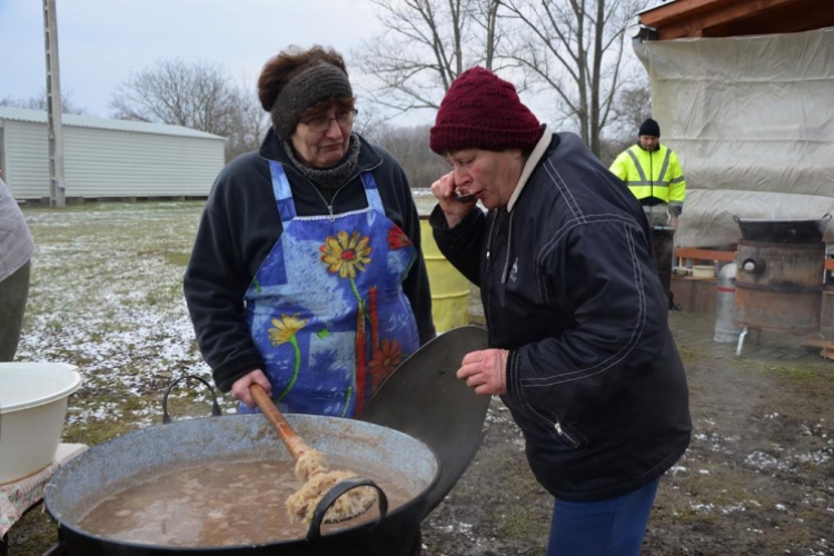 Az önkormányzat retró disznóölése Vágon