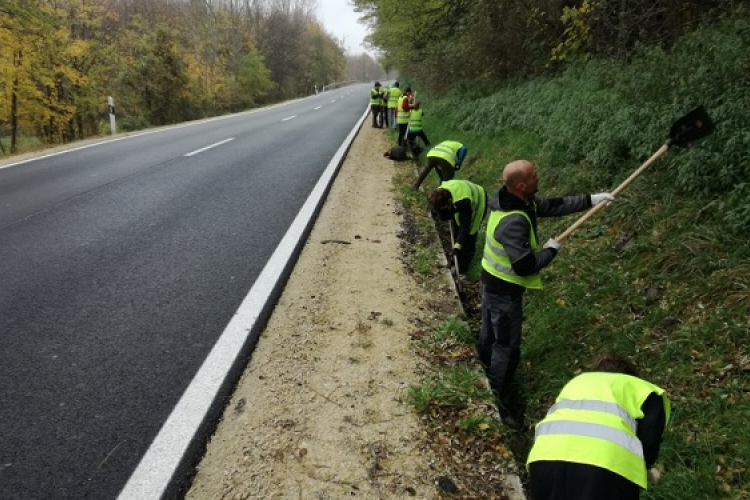 Önkéntesek tisztították meg a nemzeti park békaátjáróit