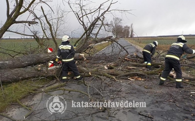 Fákat döntött az útra, Kapuváron tetőt rongált a szél