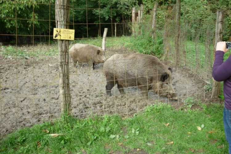 Az Őrségben kirándult a csornai nyugdíjasklub