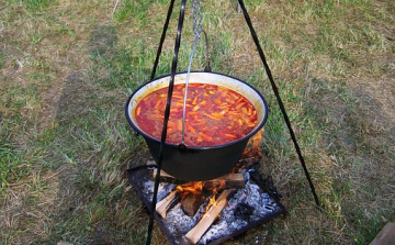 Falunapi főzőverseny Bősárkányban