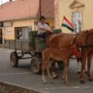 Trianoni megemlékezés Farádon