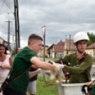 A megszületett kis gólyák látványgyűrűzése Szanyban. 