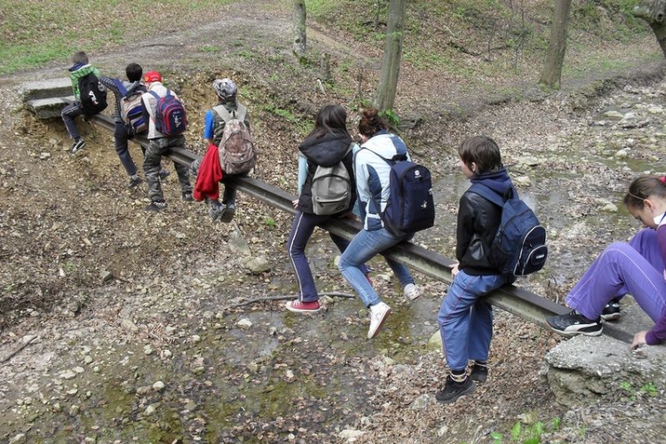 Erdei tábor a Bakonyban