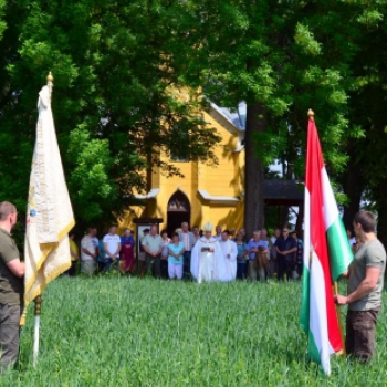 Gazdakörös családi nap Szanyban búzaszenteléssel