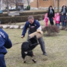 Rendőrkutya bemutató