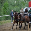 Fogathajtó verseny Bágyogszováton