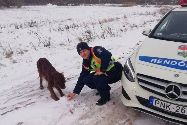 A biztos fagyhaláltól mentették meg Csornán a rendőrök az elkóborolt kutyát