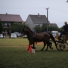 Kapuvári búcsú és lovasnapok