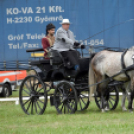 Árpási Fogathajtó Verseny