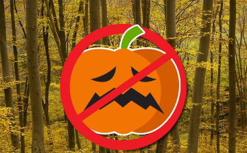 A halloween tök nem való a természetbe!